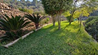 Chalet in Sóller photo 11