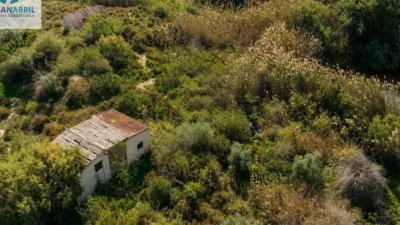 Rustic house in Pla de la Vall-llonga photo 12