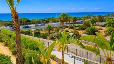 Apartment in Los Arenales del Sol photo 10