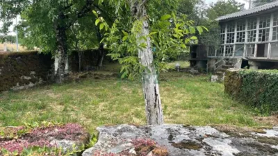 House in Cea photo 11