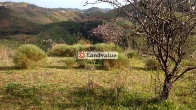 Terreno en venta en Calle Arroyo de Coche, Barranco del Sol. Poligono 9, Par, Almogía de 28.750 €