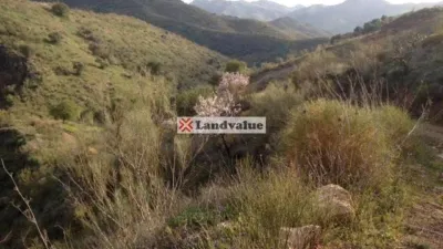 Terreno en venta en Calle Arroyo de Coche, Barranco del Sol. Poligono 9, Par, Almogía de 28.750 €