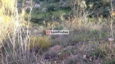 Terreno en venta en Calle Arroyo de Coche, Barranco del Sol. Poligono 9, Par, Almogía de 28.750 €