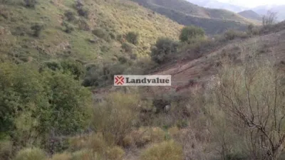 Terreno en venta en Calle Arroyo de Coche, Barranco del Sol. Poligono 9, Par, Almogía de 28.750 €