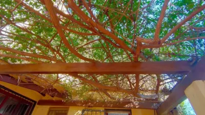 Rustic house in Polop photo 33