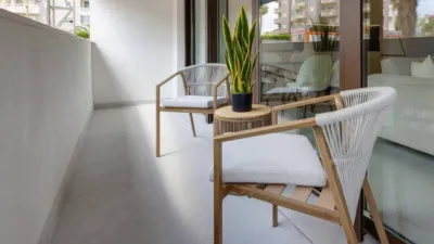 Apartment in Guardamar del Segura photo 9