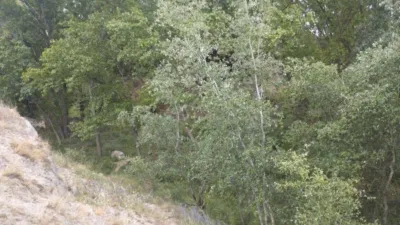Terreno en venta en Castalla - Vista 4