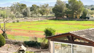 Chalet in Santa Margalida photo 2