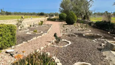 Chalet in Santa Margalida photo 57