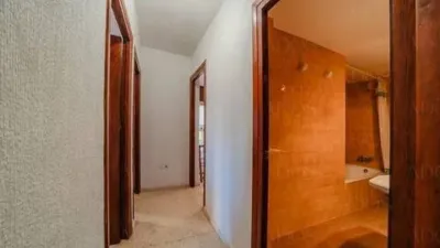 Apartment in Plaza Brisamar photo 16