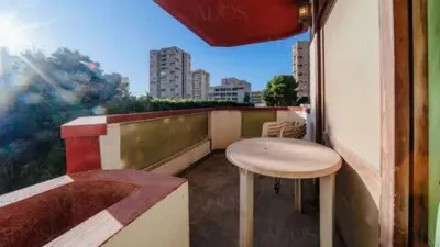 Apartment in Plaza Brisamar photo 20