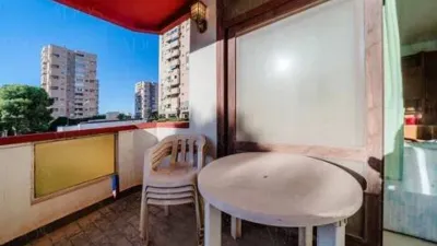 Apartment in Plaza Brisamar photo 22