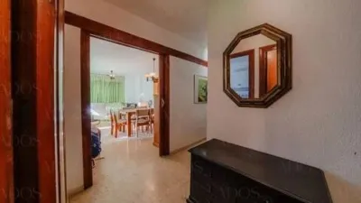 Apartment in Plaza Brisamar photo 25