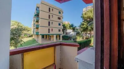 Apartment in Plaza Brisamar photo 29
