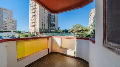 Apartment in Plaza Brisamar photo 35