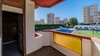 Apartment in Plaza Brisamar photo 36
