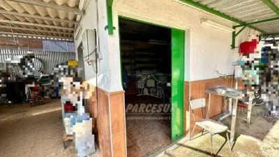 Rustic House in Cortijo de La Torre photo 18