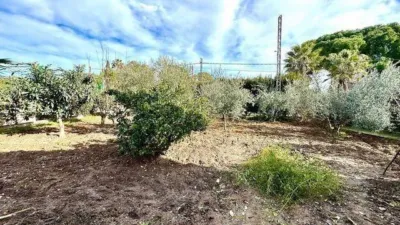 Rustic House in Cortijo de La Torre photo 21