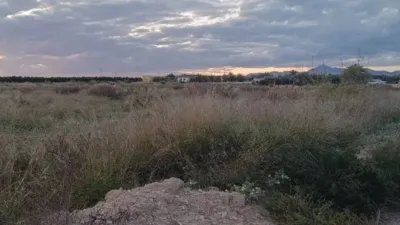 Piso – Elx / Elche, el Baix Vinalopó - Vista 5