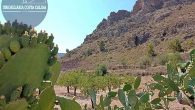 Rustic house on Calle Diseminado Barranco de Asensios, 16 photo 22