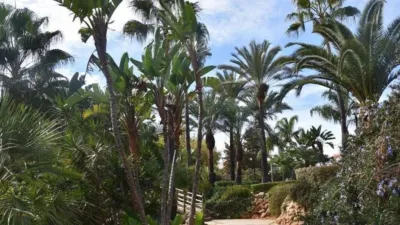 Apartment in Fuengirola photo 13