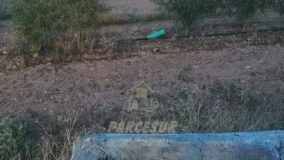 Rustic property in La Granjuela photo 5