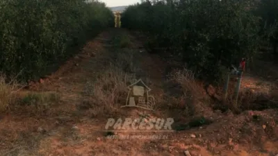 Rustic property in La Granjuela photo 6