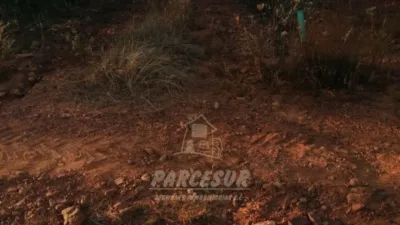 Rustic property in La Granjuela photo 7