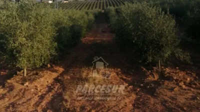 Rustic property in La Granjuela photo 8