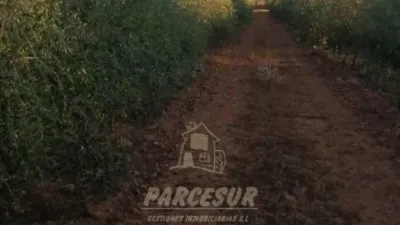 Rustic property in La Granjuela photo 9
