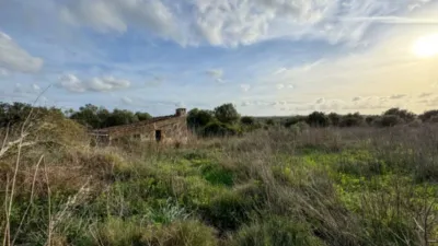 Rustic property in Santa Margalida photo 11