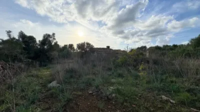 Rustic property in Santa Margalida photo 12