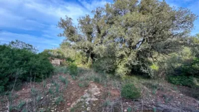 Rustic property in Santa Margalida photo 16