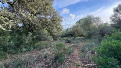 Rustic property in Santa Margalida photo 17