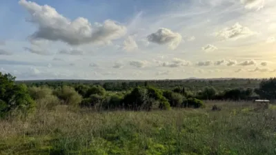 Rustic property in Santa Margalida photo 19