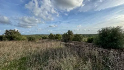 Rustic property in Santa Margalida photo 2
