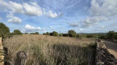 Rustic property in Santa Margalida photo 4
