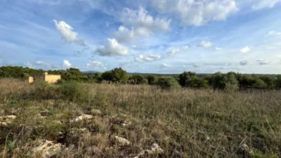 Rustic property in Santa Margalida photo 8