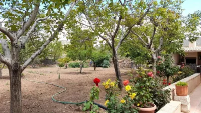 Rustic house in Onil photo 16