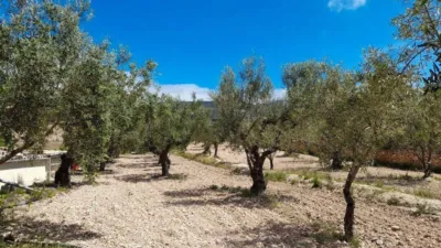 Rustic house in Onil photo 17