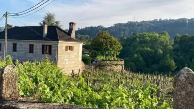 House in Leiro (Capital) photo 20
