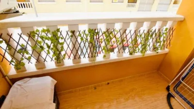 Apartment in Formentera del Segura photo 9