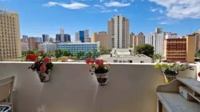 Pis – Benidorm, Llevant, la Marina Baixa - Més