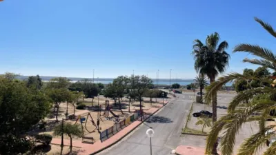 Pis – Guardamar del Segura, Lomas de Polo-Pinomar - Vista 4