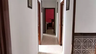 House in Alcalá de los Gazules photo 14