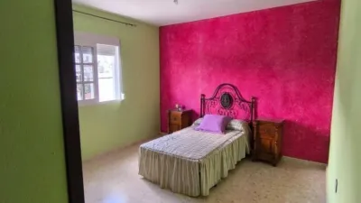 House in Alcalá de los Gazules photo 22