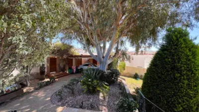 Villa in Rojales photo 49