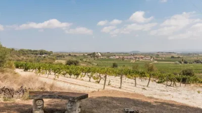 House in Castellet i la Gornal photo 8