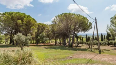 House in Castellet i la Gornal photo 9