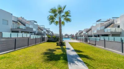 Apartment in Aguas Nuevas-Torreblanca-Sector 25 photo 19